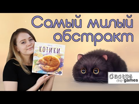 Видео: Котики - обзор настольной игры