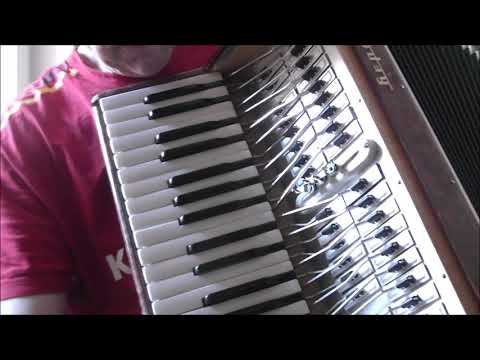 Видео: Аккордеон Берёзка ч 2