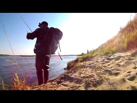 Видео: Рыбалка, река Вага Архангельская обл. 2018 (день первый)