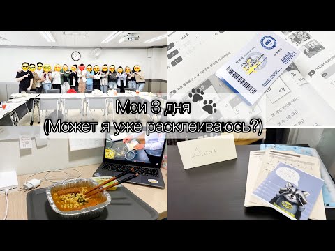 Видео: KOREA VLOG DIARY| Выдали ID карту студента/ответ "хейтеру"/преследование в Корее (нет)|14-16.09.2023