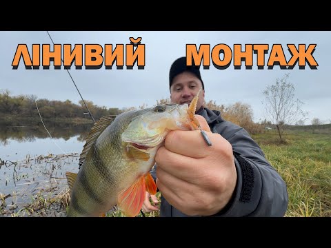 Видео: МОНТАЖ на ОКУНЯ Покльовки на кожному закиді