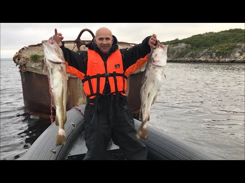 Видео: Рыбалка в Баренцевом море на треску. Мурманск