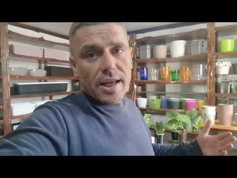 Видео: ОБОВ'ЯЗКОВИЙ ОСІННІЙ захист,Плодових і Декоративних рослин 🍂🌳🍎 