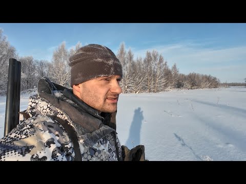 Видео: В СИЛЬНЫЙ МОРОЗ ВЫШЕЛ ПООХОТИТСЯ С РУЖЬЕМ ИЖ-54. ЗАВЕРШЕНИЕ СЕЗОНА.