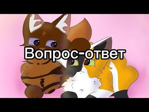 Видео: Вопрос- ответ. Да, не прошло и пол года)