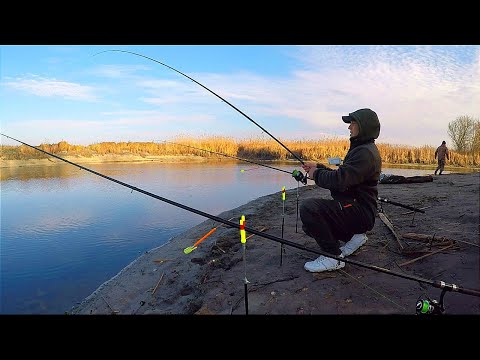 Видео: ОСІННЯ РИБОЛОВЛЯ НА КОРМАЧКИ. Рибалка на карася