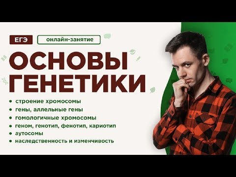 Видео: Основы генетики | ЕГЭ Биология | Даниил Дарвин