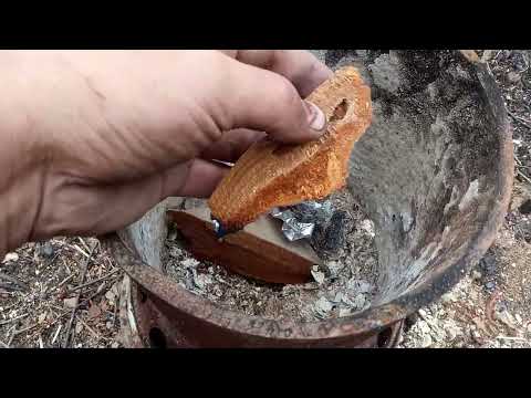 Видео: Гриб трутовик: средство от комаров на природе