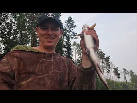 Видео: Горная река. За ленком и хариусом. 1 часть