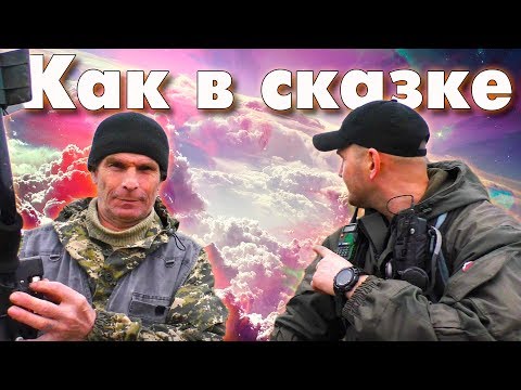 Видео: Как в сказке - Поле чудес в стране дураков. Земля засеянная монетами.