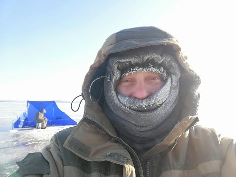 Видео: Рыбалка в Де Кастри, мыс Лазарева, залив Невельского. Ловим зубаря. Декабрь 2020 год.