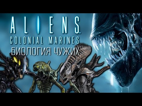 Видео: БИОЛОГИЯ ЧУЖИХ ИЗ ИГРЫ ALIENS COLONIAL MARINES
