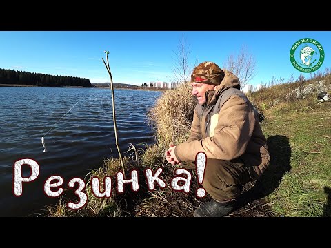 Видео: ЗАПУСТИЛ РЕЗИНКИ В ПРУД У ДОМА! РЫБАЛКА В ОКТЯБРЕ НА ЩУКУ И ОКУНЯ НА ЖИВЦА НА ДЕДОВСКИЕ РЕЗИНКИ!