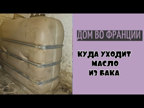 Видео: В голове созрел новый проект| собачаня ожила| отопление во Франции