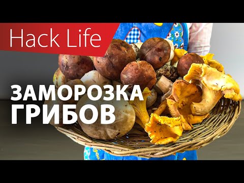 Видео: Заморозка грибов на зиму!