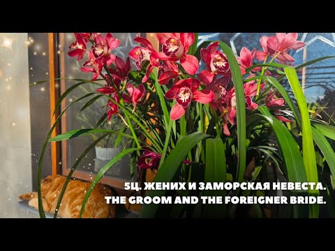 Видео: 5Ц. Жених и Заморская невеста.The groom and the foreigner bride.