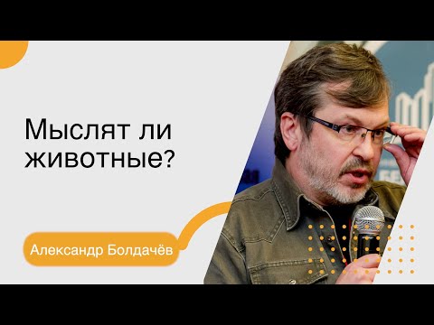 Видео: Александр Болдачёв. Мыслят ли животные?