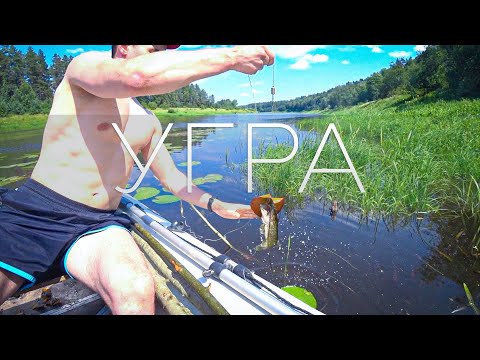 Видео: ВОТ ЭТО ПОКЛЁВКА - Рыбалка/Отдых