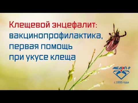 Видео: Клещевой энцефалит: вакцинопрофилактика, первая помощь при укусе клеща
