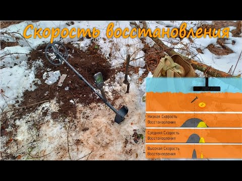 Видео: Nokta Legend. Настройка скорость восстановления.