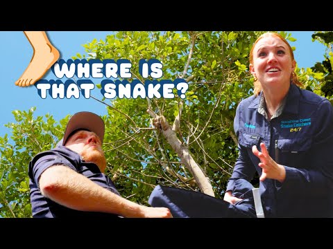 Видео: Ловец змей Лето совершает ОШИБКУ!