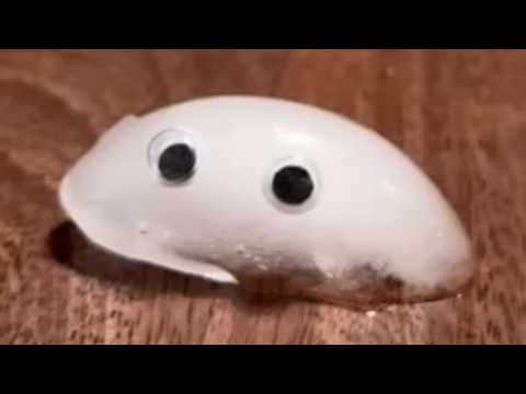 Видео: Сочувствие к неодушевленному