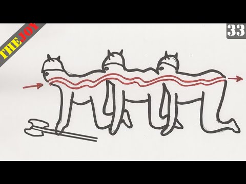 Видео: Викинговая многоножка