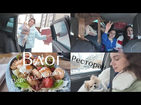 Видео: 57; Брн-АЛТАЙ// Переезд | Поставили прививку | Чизкейк |  Ресторан Шишка - не рекомендуем /VLOG