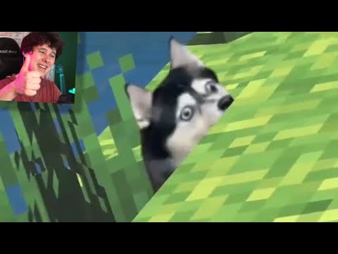 Видео: 8  МИНУТ ЧИСТОГО СМЕХА | ЛУЧШИЕ ПРИКОЛЫ МАРТ 2021 ПОПРОБУЙ ЗАСМЕЯТЬСЯ ЧЕЛЛЕНДЖ ЗАСМЕЯЛСЯ ПРОИГРАЛ