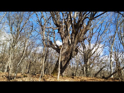 Видео: Поиск на Ангарском перевале. Накопали советов.