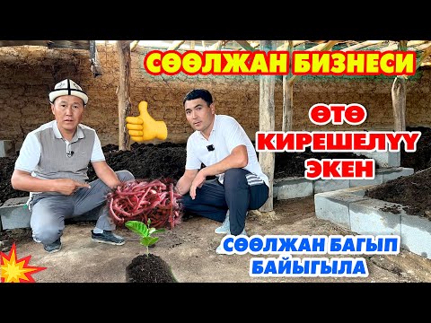 Видео: Сѳѳлжан БИЗНЕСИНДЕ чоң КИРЕШЕ бар экен ~ Сиз да баштаңыз кийин кеч болот