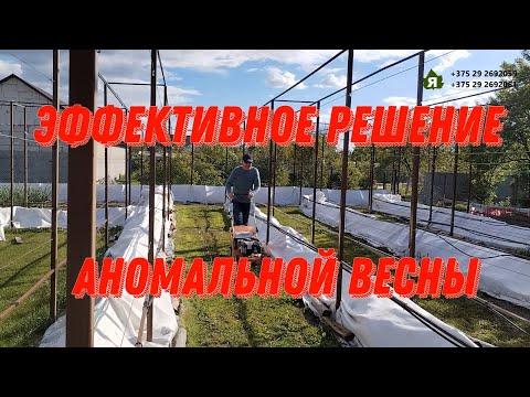 Видео: Эффективное решение аномальной весны!