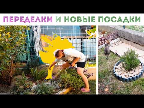 Видео: ⭐БОЛЬШИЕ ПЕРЕМЕНЫ В САДУ! Выкорчевала жасмин. Надоел. Наметила новую клумбу🌺