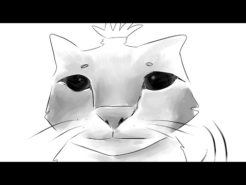 Видео: что случилось?