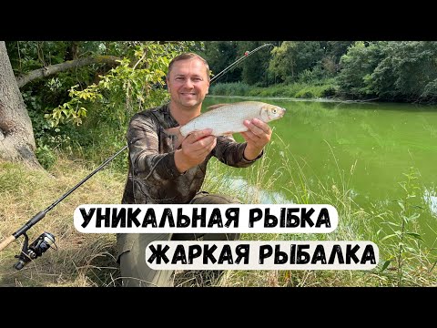 Видео: ОЧЕНЬ РЕДКУЮ РЫБУ ПОЙМАЛ СЕГОДНЯ