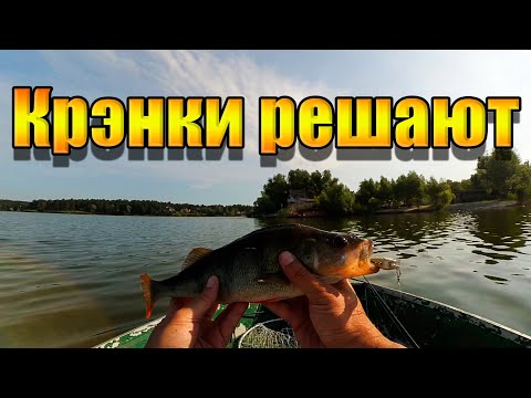 Видео: Кренки решают | Ловля окуня на воблеры | Рыбалка на спиннинг
