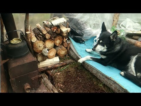 Видео: Строительство балагана паука.