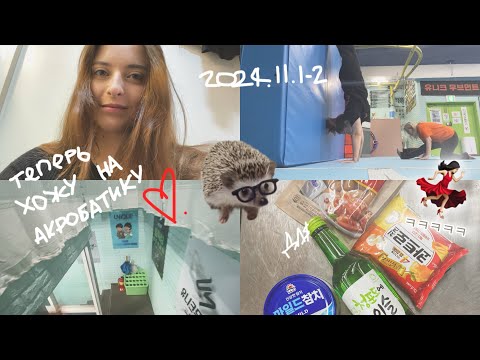 Видео: KOREA VLOG DIARY| мои тренировки акробатики в Корее / учу презентацию и ухожу в клуб | 1-2.11.2024