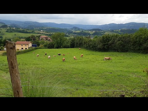 Видео: # 141 Север Испании. Деревни Астурии. Fuentes И San Vicente (Asturias, Villaviciosa)