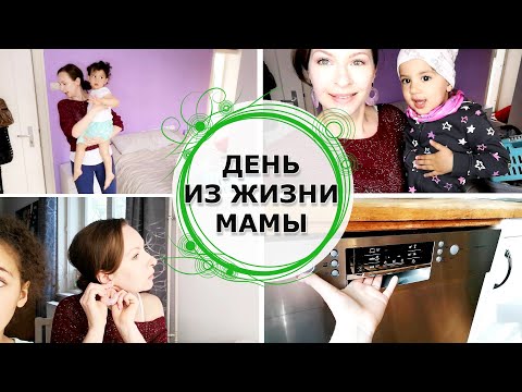 Видео: Новые соседи/ полезный обед/ школа для родителей - день из жизни мамы