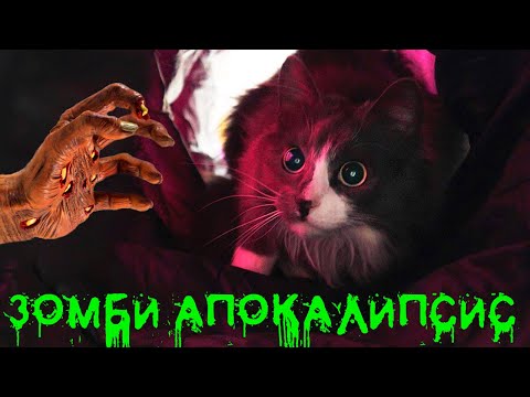 Видео: КОРОЧЕ ГОВОРЯ, ЗОМБИ АПОКАЛИПСИС ГЛАЗАМИ КОШКИ И СОБАКИ