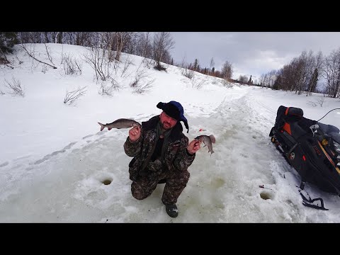 Видео: Как мы закрывали сезон/РЫБАЛКА НА ХАРИУСА 2020