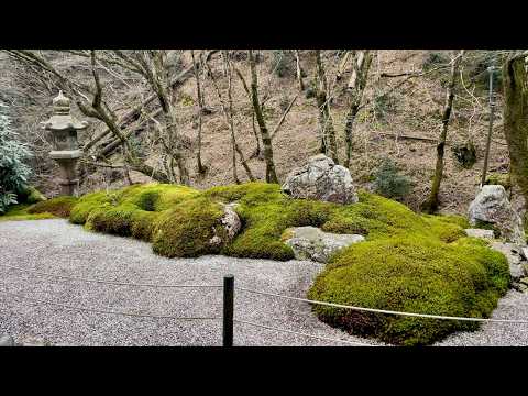 Видео: Храм Амиды в Кочидани | Весна ждет красоты мохового каменного сада