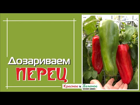 Видео: Дозариваем перец. Простой и эффективный способ