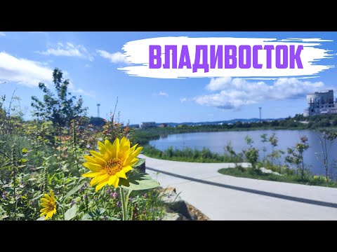 Видео: Владивосток август 2025