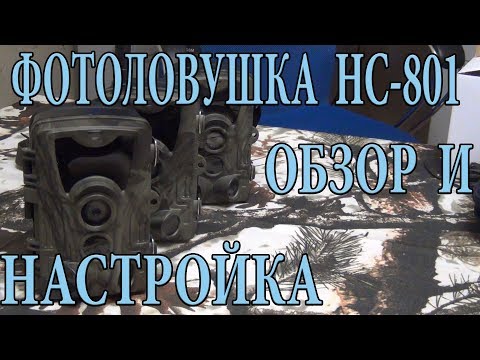 Видео: Фотоловушка HC 801 с АлиЭкспресс