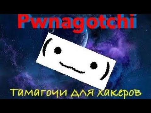 Видео: Тамагочи для хакеров - pwnagotchi! Гайд по настройке