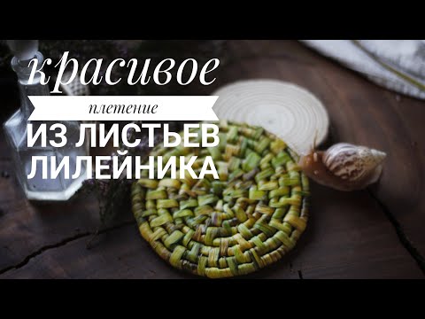 Видео: Листья садового лилейника - в дело! Красивое и очень простое плетение для начинающих👍