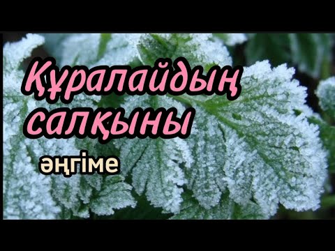 Видео: Құралайдың салқыны әңгіме авторы Оразбек Сәрсенбаев#аудиокітап#аудиоәңгіме