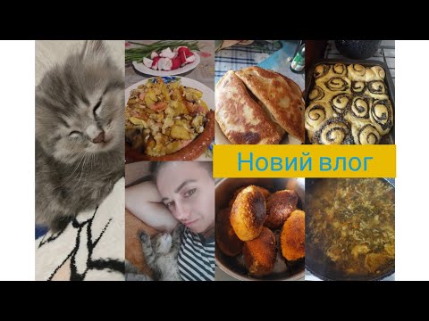 Видео: #Новий влог#Знайомтесь це Мартін😻#Наше меню🍛🍜#Городні ділішки🥒🍅🥕